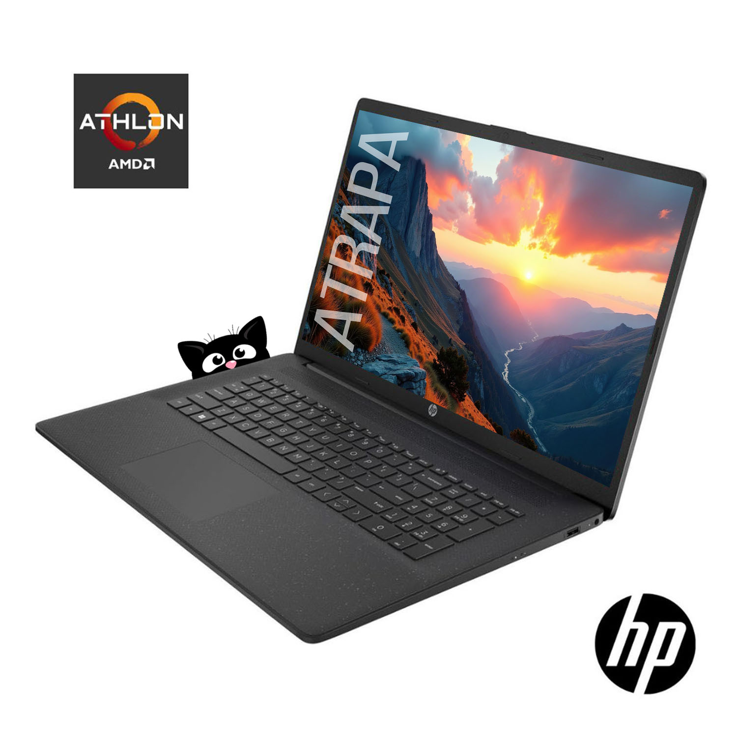 Notebook Hp Amd 7220u ( DDR4 / SSD ) Amd Radeon 17.3 Win11 CP200 - Image 2